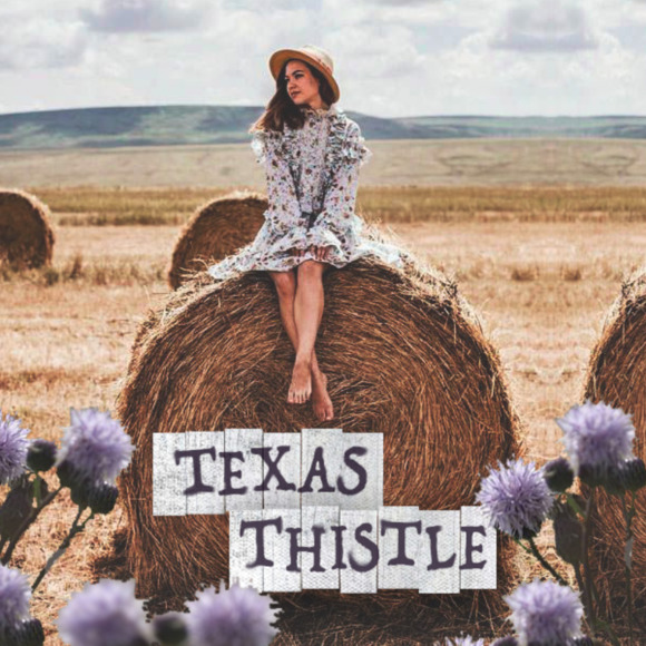 texasthistle